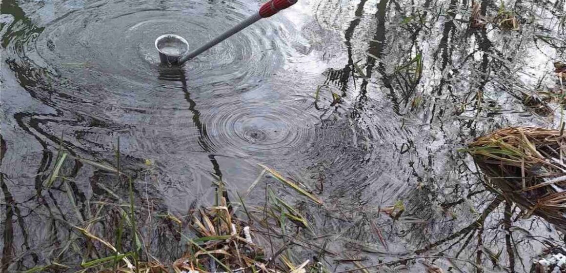 Перевищення у 7 разів: забруднено Бурштинське водосховище та р. Гнила Липа