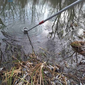 Перевищення у 7 разів: забруднено Бурштинське водосховище та р. Гнила Липа