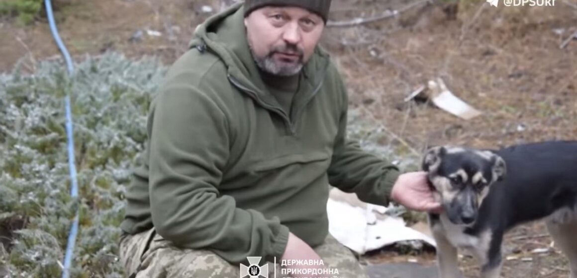 “Миттєво повідомляє про сторонніх”: як пес Шарік “несе службу” разом з прикордонниками на передовій (ВІДЕО)