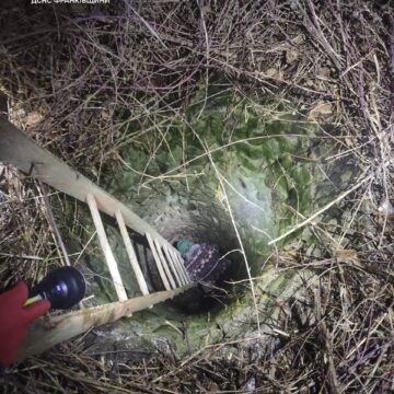 На Коломийщині врятували жінку, яка впала у колодязь На Коломийщині врятували жінку, яка впала у колодязь