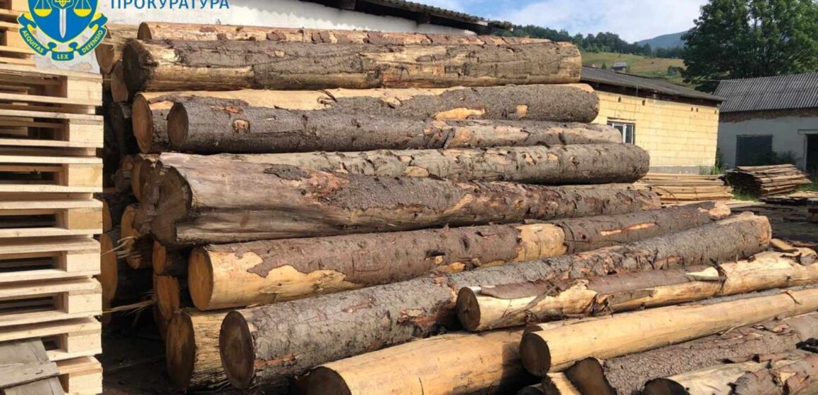 Незаконні рубки лісу зі збитками 250 млн грн – повідомлено про підозру організованій групі з працівників держлісгоспу, які нищили дерева на заповідній території Прикарпаття