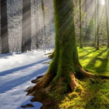 Тепліше від норми: синоптики підбили погодні підсумки січня на Прикарпатті Тепліше від норми: синоптики підбили погодні підсумки січня на Прикарпатті
