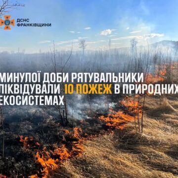 Минулої доби рятувальники Прикарпаття ліквідували 11 пожеж, 10 з них – в природних екосистемах