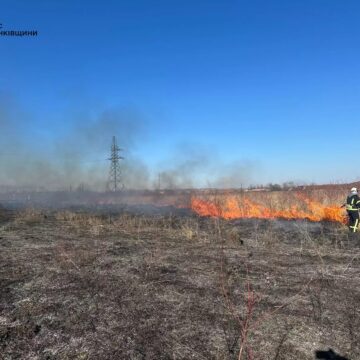 В Брошнів-Осаді сталася масштабна пожежа сухої трави В Брошнів-Осаді сталася масштабна пожежа сухої трави