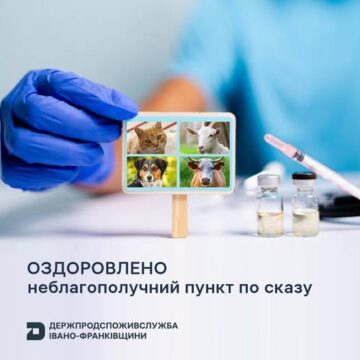 У туристичному Татарові на Верховинщині зняли карантинні обмеження через сказ лисиці