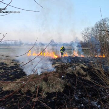 57 пожеж сухої трави ліквідували вогнеборці за минулу добу