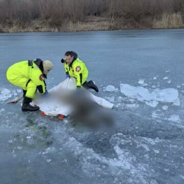 На Коломийщині з замерзлої річки рятувальники дістали тіло чоловіка