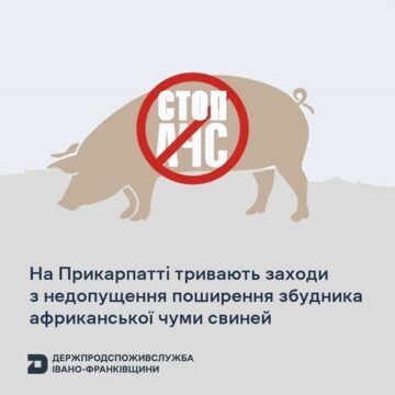 На Прикарпатті тривають заходи з недопущення поширення збудника африканської чуми свиней