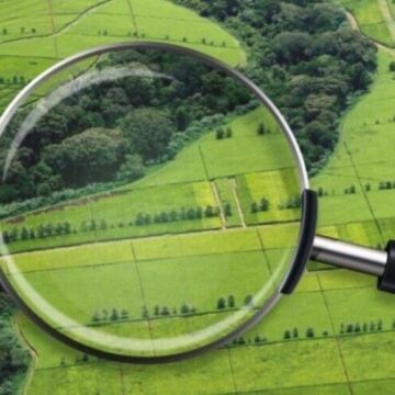 У Поляниці витребовують з незаконної власності ще одну ділянку лісового фонду