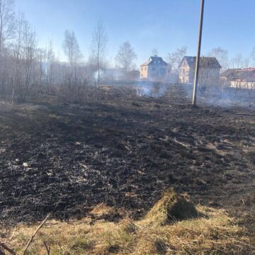 З початку року мешканці Калуського району перетворили на згарище понад сто га землі (ФОТО)