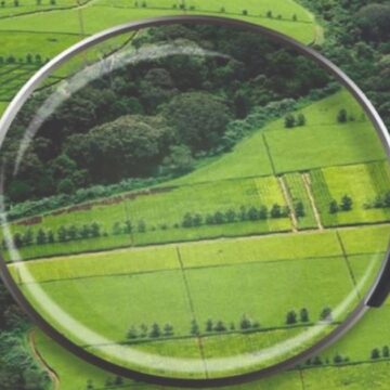 На Прикарпатті з ініціативи прокуратури в іноземки конфісковано земельну ділянку На Прикарпатті з ініціативи прокуратури в іноземки конфісковано земельну ділянку