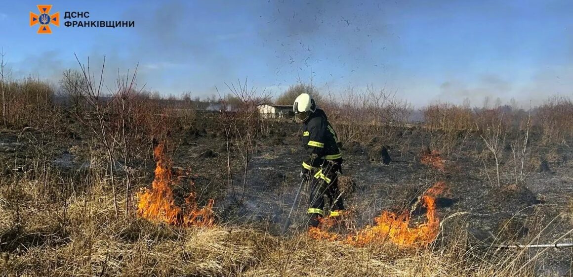 В урочищі Дем’янів Лаз згоріло 15 га сухої трави (ВІДЕО) В урочищі Дем’янів Лаз згоріло 15 га сухої трави (ВІДЕО)