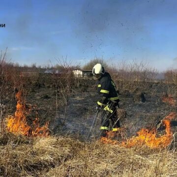 В урочищі Дем’янів Лаз згоріло 15 га сухої трави (ВІДЕО) В урочищі Дем’янів Лаз згоріло 15 га сухої трави (ВІДЕО)