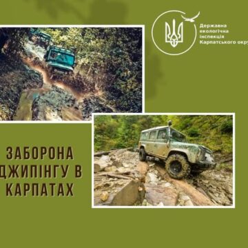 Заборона джипінгу у заповідниках: Карпати під захистом!