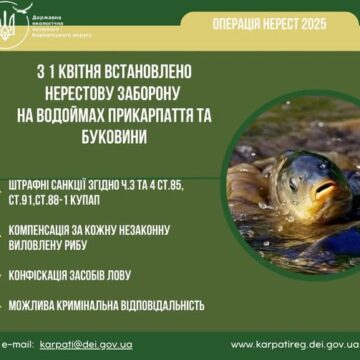 Штраф від 5 до 7 тис за одну виловлену рибу: з 1 квітня на Прикарпатті встановлюють нерестову заборону
