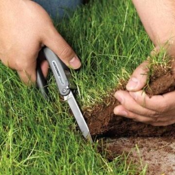 Ділянку в центрі Поляниці незаконно передали у приватну власність