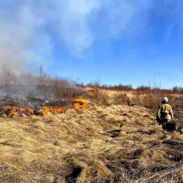 Під час гасіння пожежі сухої трави на Косівщині виявили тіло місцевого мешканця