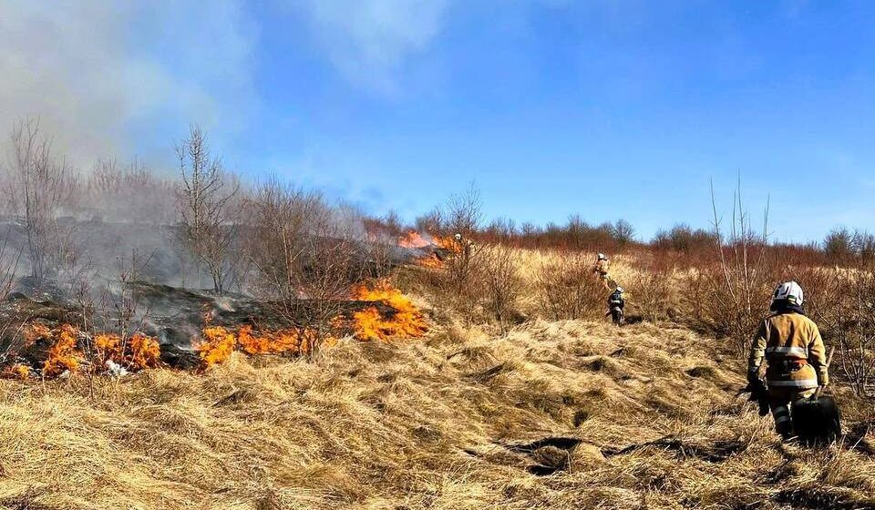 Під час гасіння пожежі сухої трави на Косівщині виявили тіло місцевого мешканця