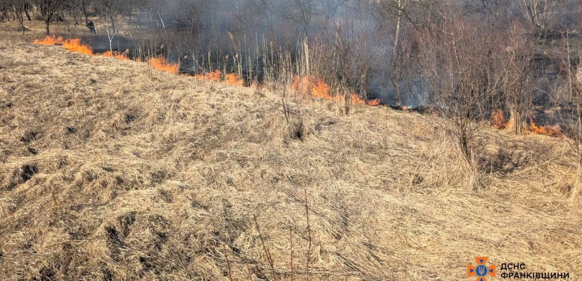 В трьох громадах Прикарпаття за минулу добу горіли ліси