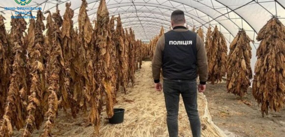 Жителів Коломийщини засудили за нелегальний тютюновий бізнес