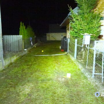 На Рожнятівщині під час сімейного конфлікту чоловік застосував гранату, постраждали дружина і теща