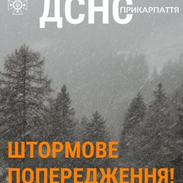 Сильний дощ та мокрий сніг: на Прикарпатті оголосили штормове попередження