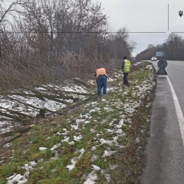 Шляховики закликають громади долучитися до упорядкування узбіч доріг
