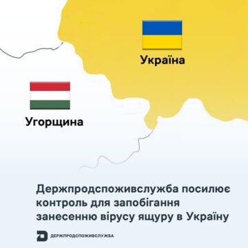 У західних областях України запроваджують посилені заходи контролю через спалах ящуру в Угорщині