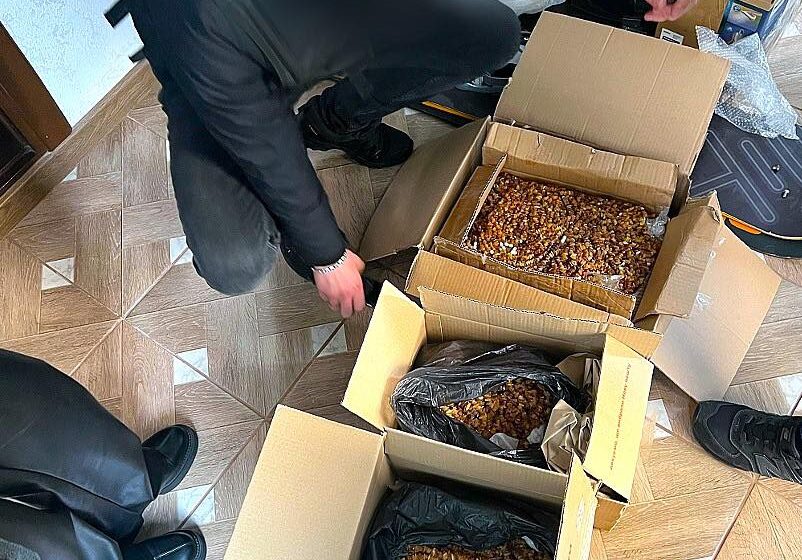 На Прикарпатті викрили злочинну групу, яка незаконно збувала бурштин На Прикарпатті викрили злочинну групу, яка незаконно збувала бурштин