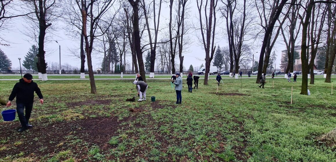 У міському парку Снятина висадили більше 200 дерев (ФОТО)