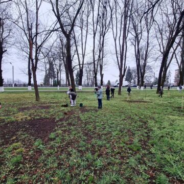 У міському парку Снятина висадили більше 200 дерев (ФОТО)