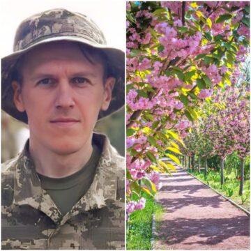 Сім’я загиблого воїна Степана Бажика з Франківщини в пам’ять про нього висадила алею сакур