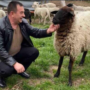Ветеран з Надвірнянщини Роман Масевич тримає 70 овець та планує відкрити сироварню
