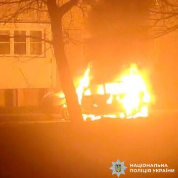 В Коломиї затримали палія автівки