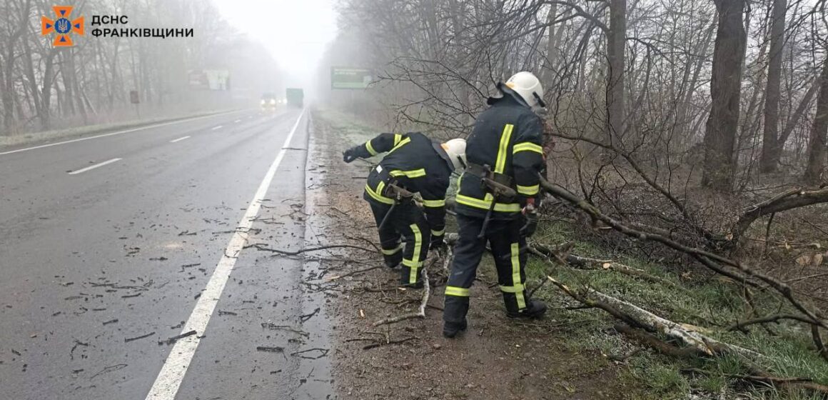 На Коломийщині вітер повалив дерева на автошляхи На Коломийщині вітер повалив дерева на автошляхи