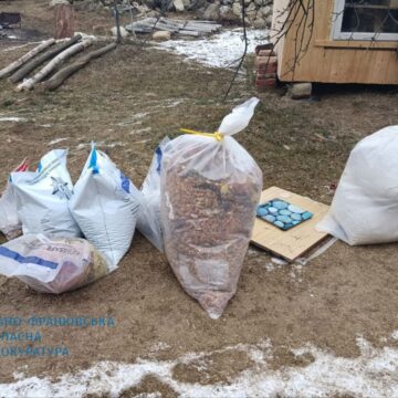 На Прикарпатті судитимуть двох учасників злочинної групи, які збували бурштин