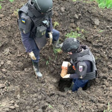Сьогодні на Рогатинщині піротехніки знешкодили 34 застарілі боєприпаси