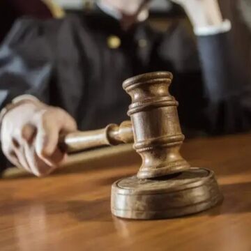 На Калущині прокуратура в судовому порядку стягнула із лісгоспу понад 650 тис. грн за незаконні рубки лісу