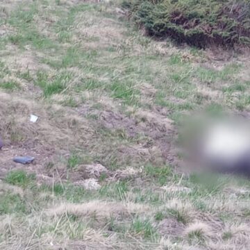 Біля підніжжя гори Піп Іван виявили тіло людини Біля підніжжя гори Піп Іван виявили тіло людини