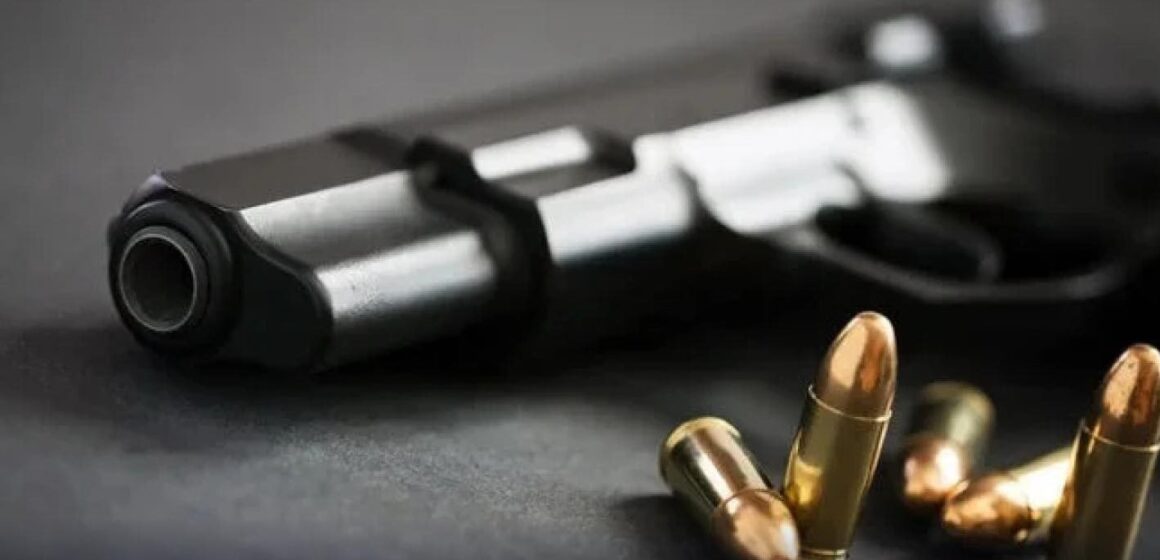 Понад 3000 тисячі набоїв та 121 одиницю вогнепальної зброї задекларували мешканці Прикарпаття