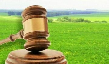 Дві земельні ділянки Карпатського нацпарку повернули у державну власність