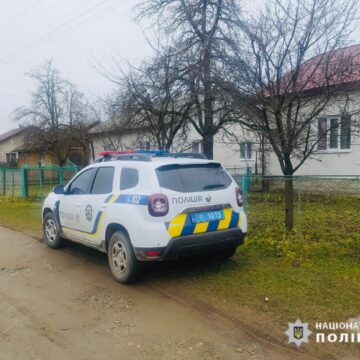 Побив до смерті односельця:  мешканець Надвірнянщини проведе за ґратами сім з половиною років