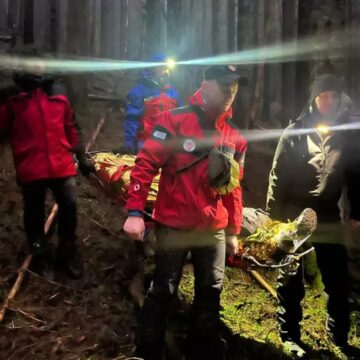 В лісі на Верховинщині виявили тіло чоловіка В лісі на Верховинщині виявили тіло чоловіка