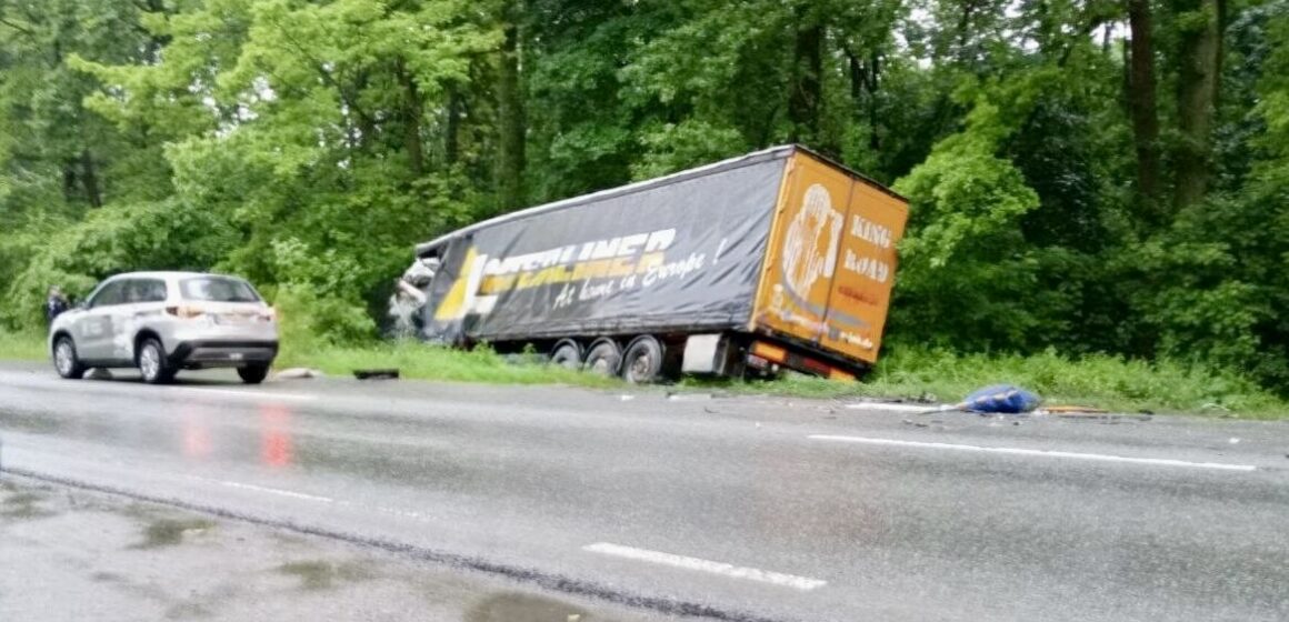 На Франківщині на автодорогу впало дерево, що стало причиною ДТП (ФОТО)