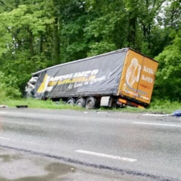 На Франківщині на автодорогу впало дерево, що стало причиною ДТП (ФОТО)