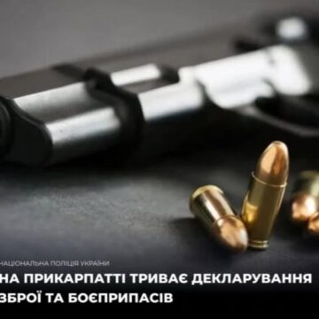Понад 1200 набоїв та 24 одиниці вогнепальної зброї задекларували жителі Калуського району