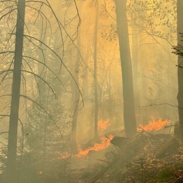 Вогнеборці ліквідували пожежу лісової підстилки у Яремчанській ТГ