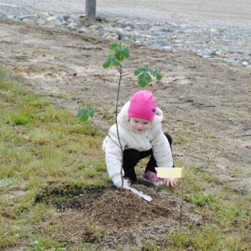 На Богородчанщині в пам’ять про загиблих Героїв висадили дубовий гай