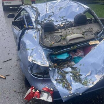 На Рогатинщині через негоду дерево впало на автомобіль, травмувалася жінка На Рогатинщині через негоду дерево впало на автомобіль, травмувалася жінка