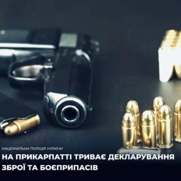 Прикарпатці добровільно здали 11 одиниць зброї та 410 боєприпасів
